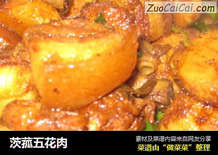 茨菰五花肉