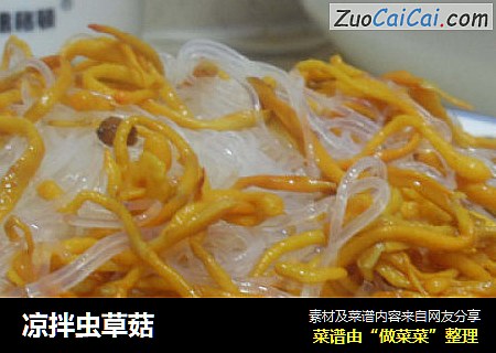 凉拌虫草菇