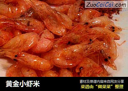 黄金小虾米