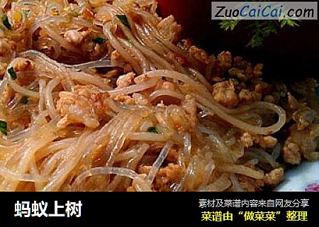 蚂蚁上树