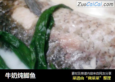 牛奶炖鲫鱼