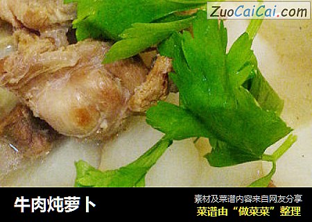 牛肉炖萝卜