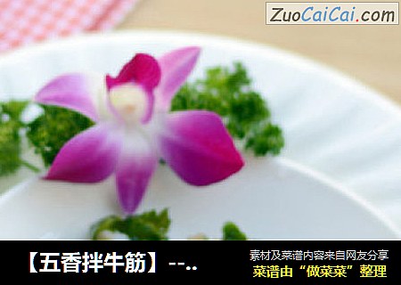 【五香拌牛筋】--美容·强身·生长发育三好选择