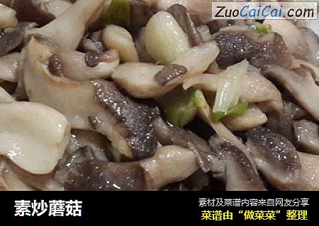 素炒蘑菇