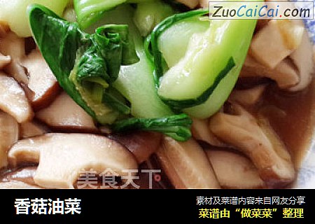 香菇油菜