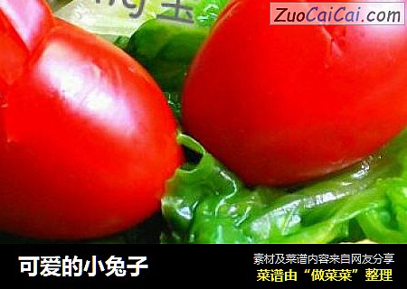 可爱的小兔子