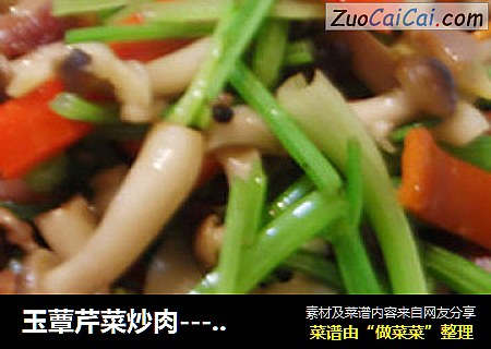 玉蕈芹菜炒肉----素素主义