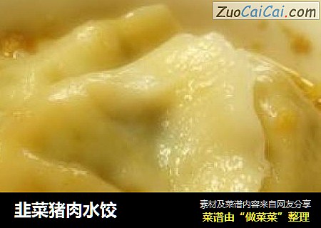 韭菜猪肉水饺
