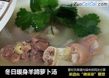 冬日暖身羊蹄萝卜汤