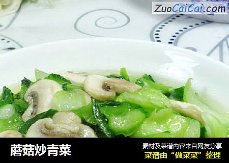 蘑菇炒青菜