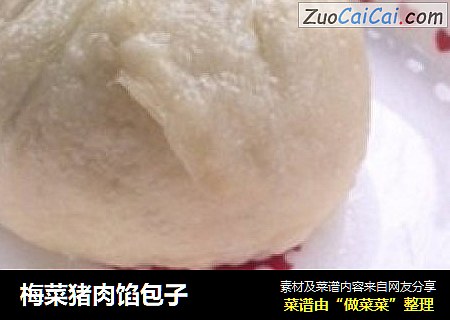 梅菜猪肉馅包子