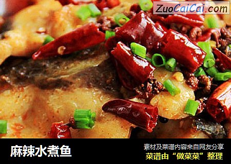 麻辣水煮鱼