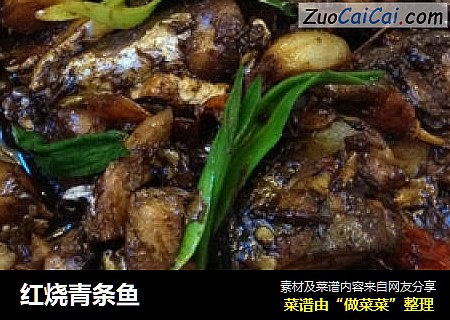 红烧青条鱼