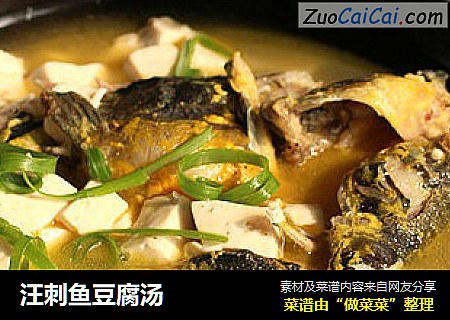 汪刺鱼豆腐汤