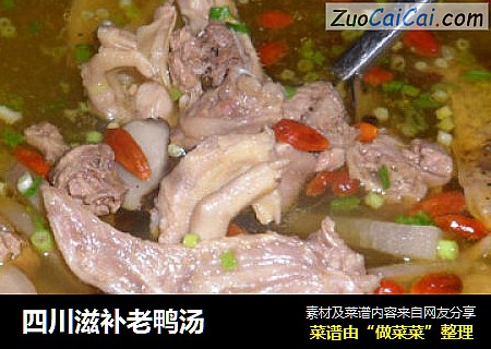 四川滋补老鸭汤