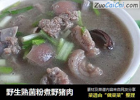 野生熟菌粉煮野猪肉