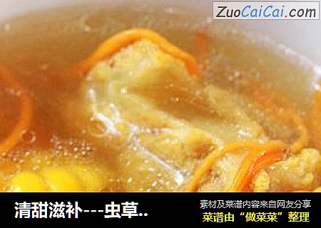 清甜滋补---虫草花煲猪骨