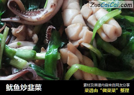 鱿鱼炒韭菜