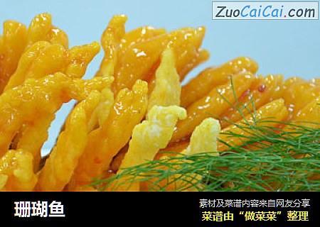 珊瑚鱼