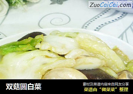 双菇圆白菜