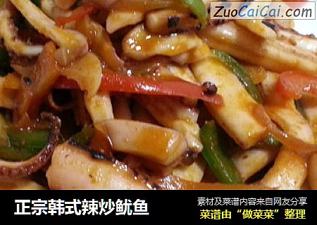 正宗韩式辣炒鱿鱼