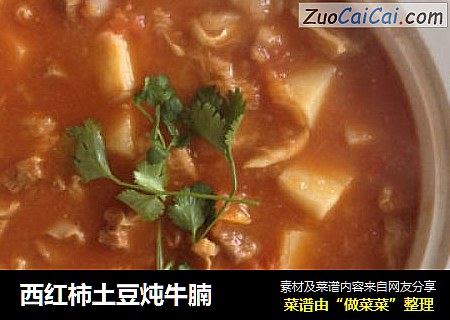 西红柿土豆炖牛腩
