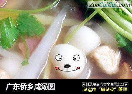 广东侨乡咸汤圆