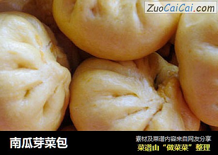 南瓜芽菜包