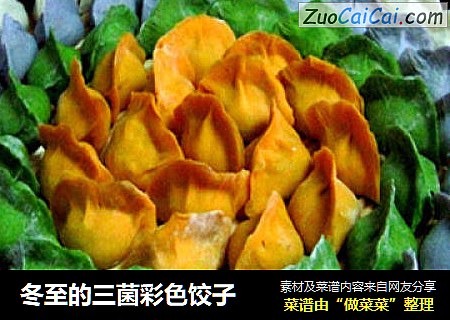 冬至的三菌彩色饺子