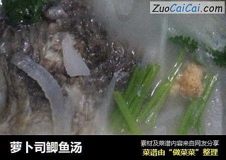 萝卜司鲫鱼汤