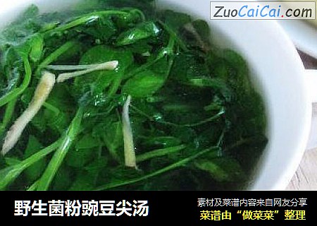 野生菌粉豌豆尖汤