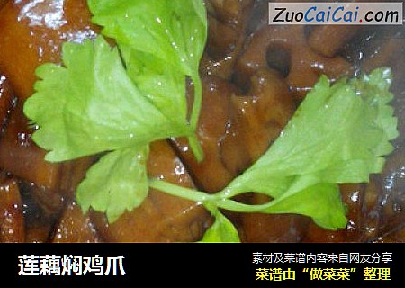 莲藕焖鸡爪