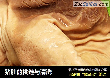 猪肚的挑选与清洗