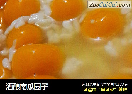 酒酿南瓜园子