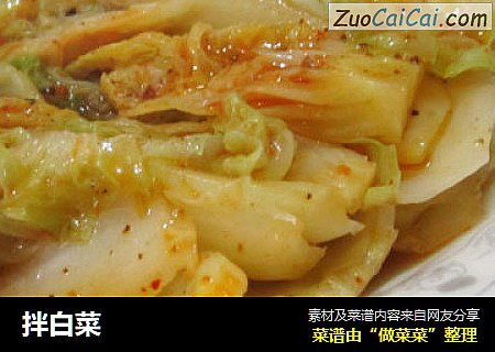 拌白菜
