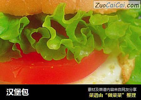 汉堡包