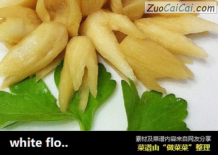 white flower大白花---茭白