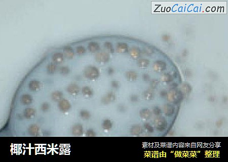 椰汁西米露