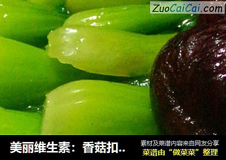 美丽维生素：香菇扣菜胆