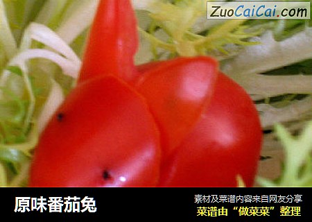 原味番茄兔
