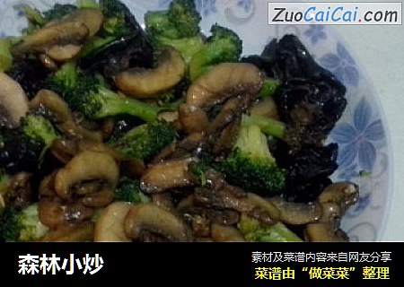 森林小炒
