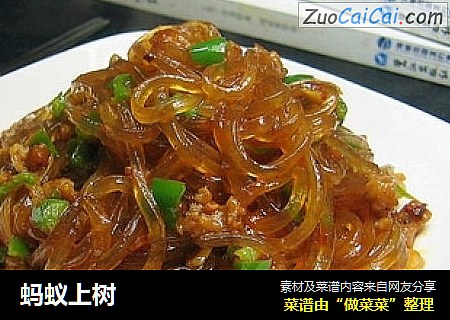 蚂蚁上树