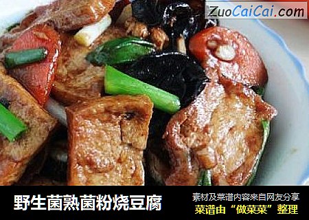 野生菌熟菌粉烧豆腐