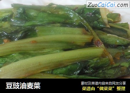 豆豉油麦菜