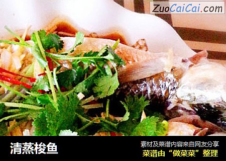 清蒸梭鱼