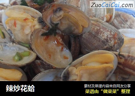 辣炒花蛤