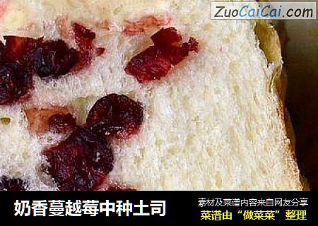 奶香蔓越莓中种土司
