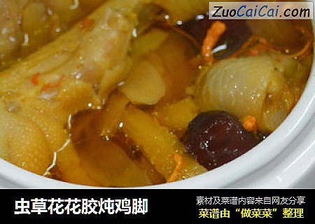 虫草花花胶炖鸡脚
