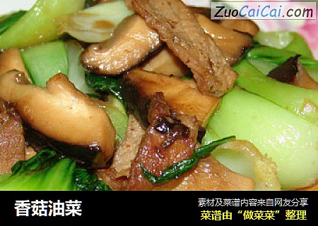 香菇油菜