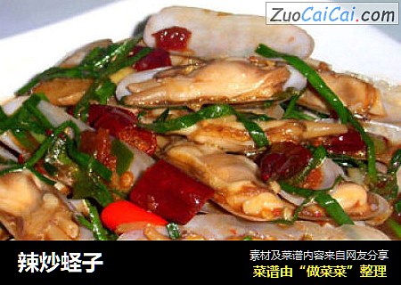 辣炒蛏子